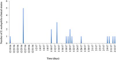 Molecular Epidemiology, Antibiotic Resistance, and Virulence Traits of Stenotrophomonas maltophilia Strains Associated With an Outbreak in a Mexican Tertiary Care Hospital